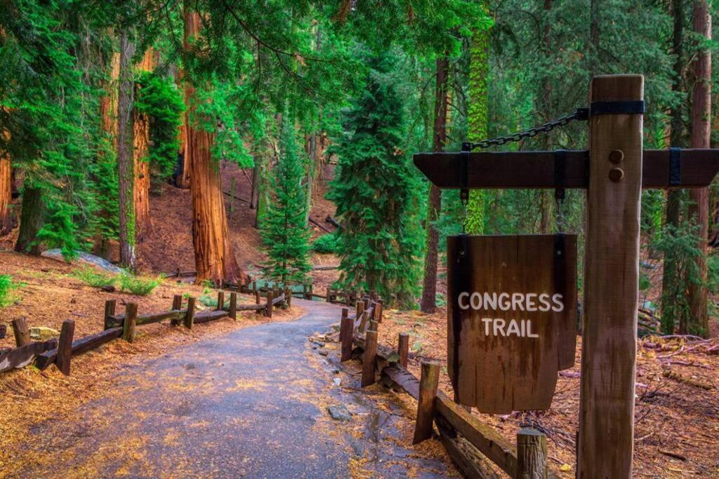 Sequoia Splendor, Inside Kings Canyon Np By Visitors Center Wilsonia Exterior photo