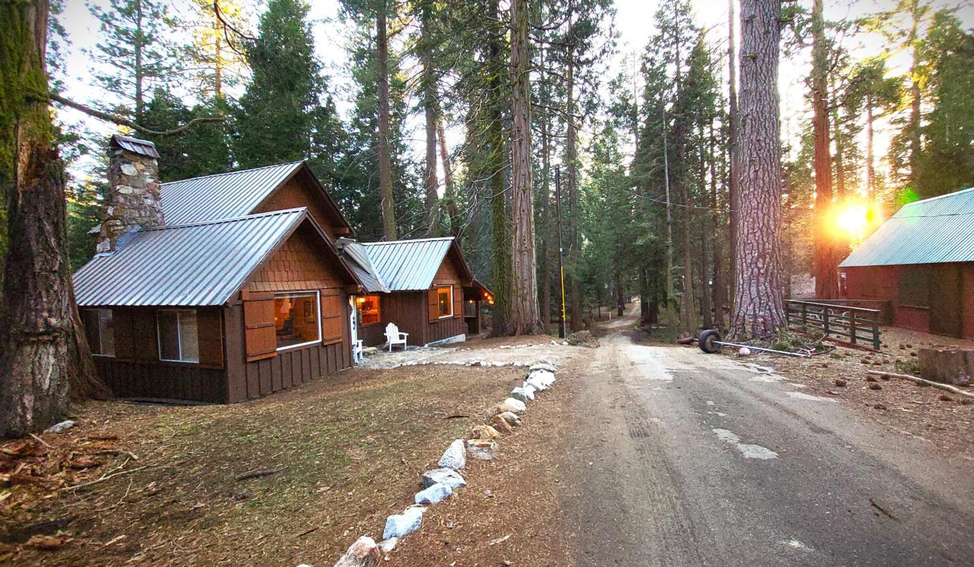 Sequoia Splendor, Inside Kings Canyon Np By Visitors Center Wilsonia Exterior photo