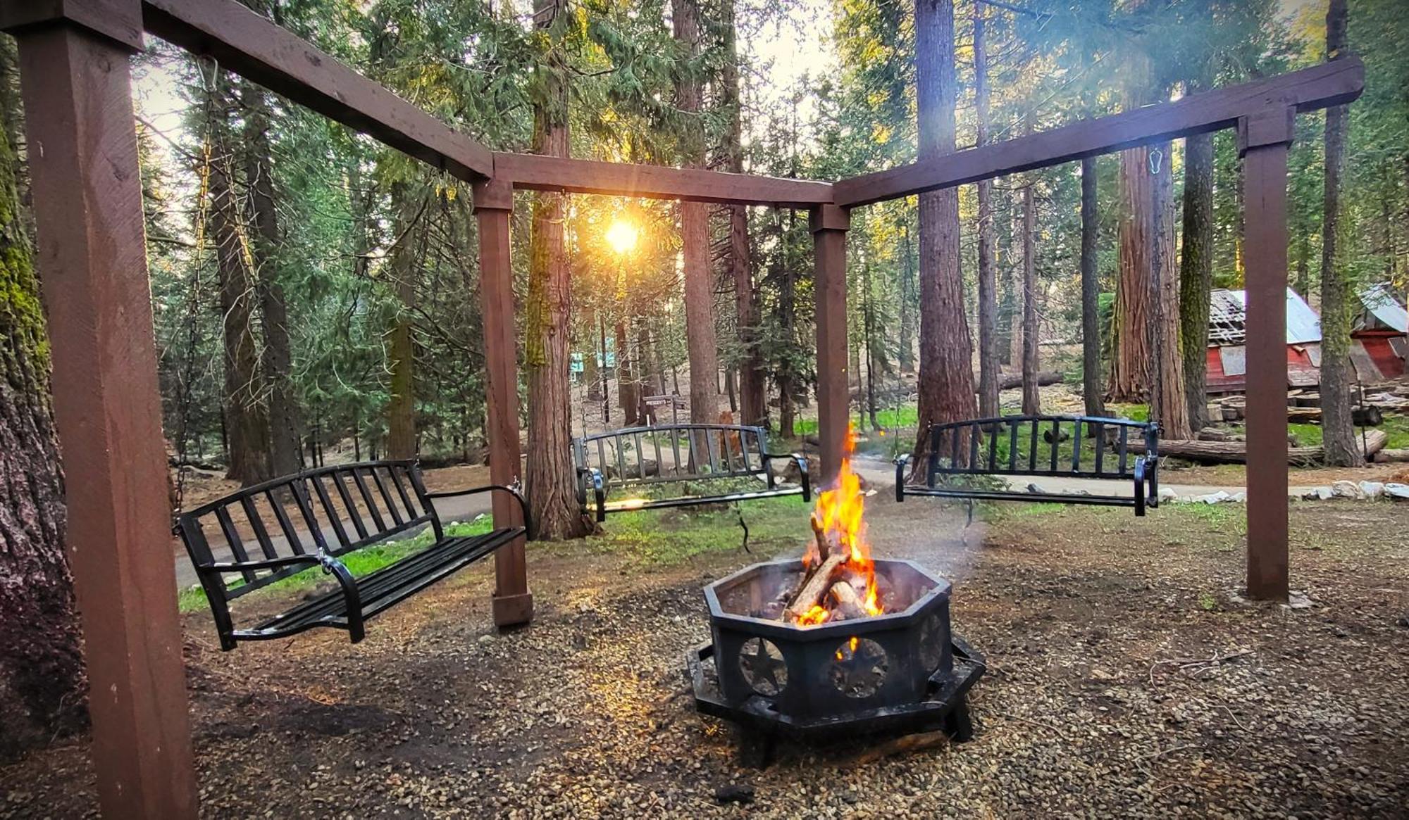 Sequoia Splendor, Inside Kings Canyon Np By Visitors Center Wilsonia Exterior photo
